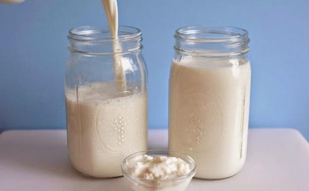kefir leche sin lactosa