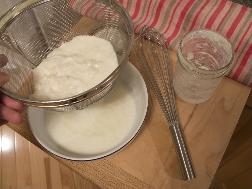 hacer kefir sin lactosa